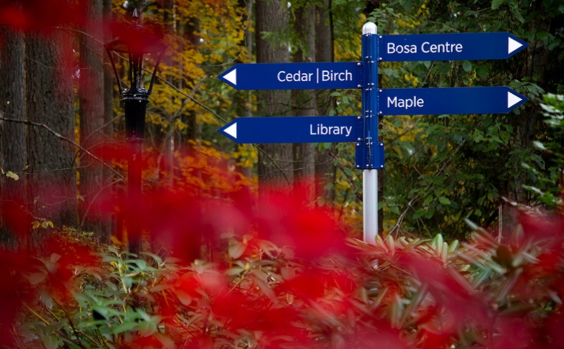 A photo of CapU's North Vancouver campus as the leaves change in the fall.
