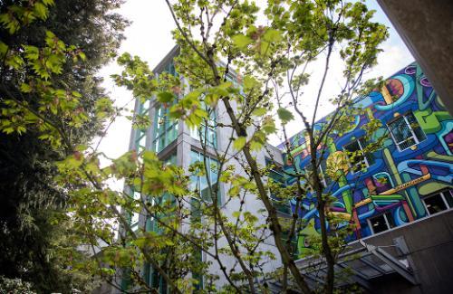 Birch Building mural